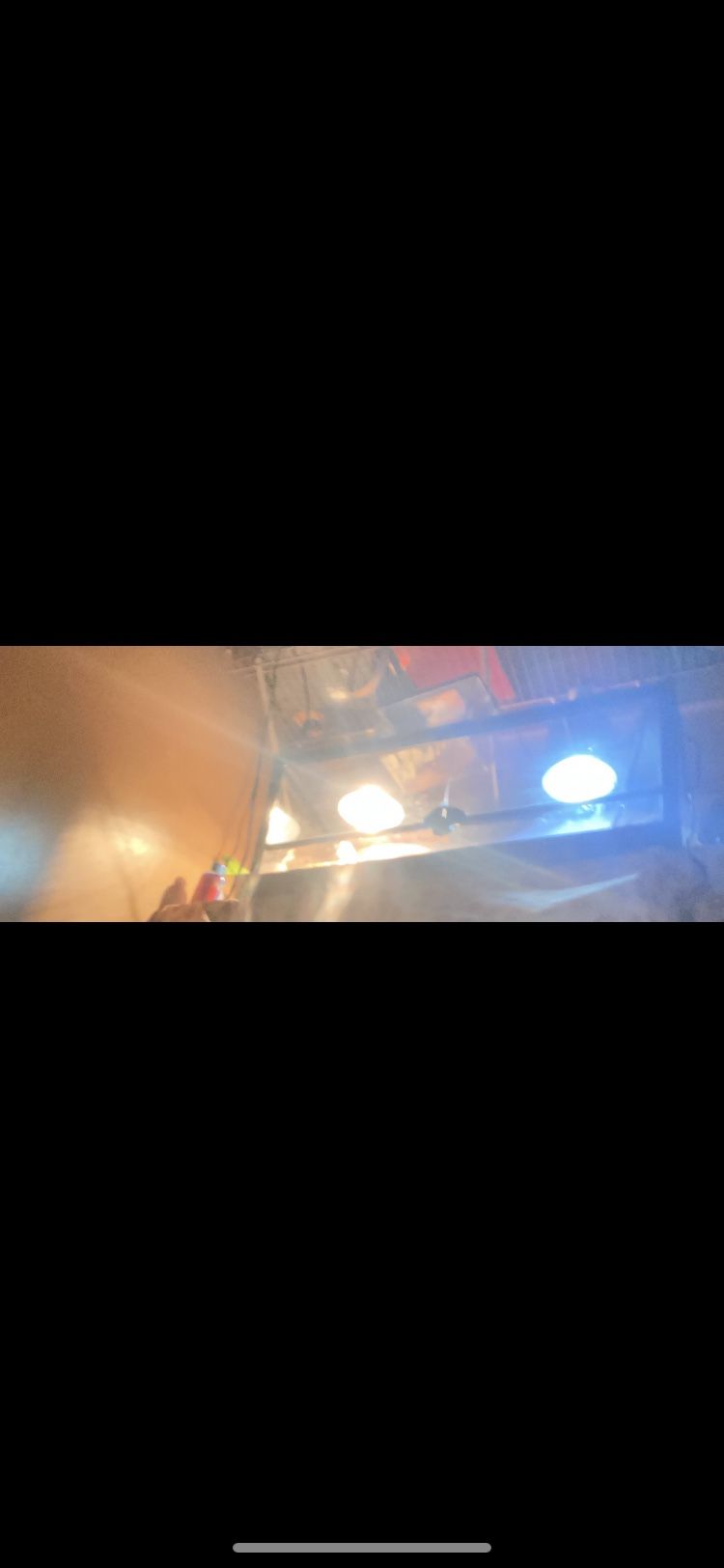 Bearded Dragon Tank
