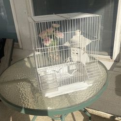 White Bird Cage