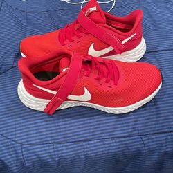 Mens Nike Revolution Running Shoes