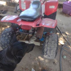 Runs Good. Bill Sale