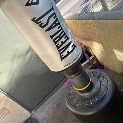 Punching Bag 