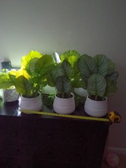 Artificial plants