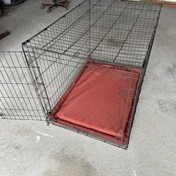 Dog Kennel