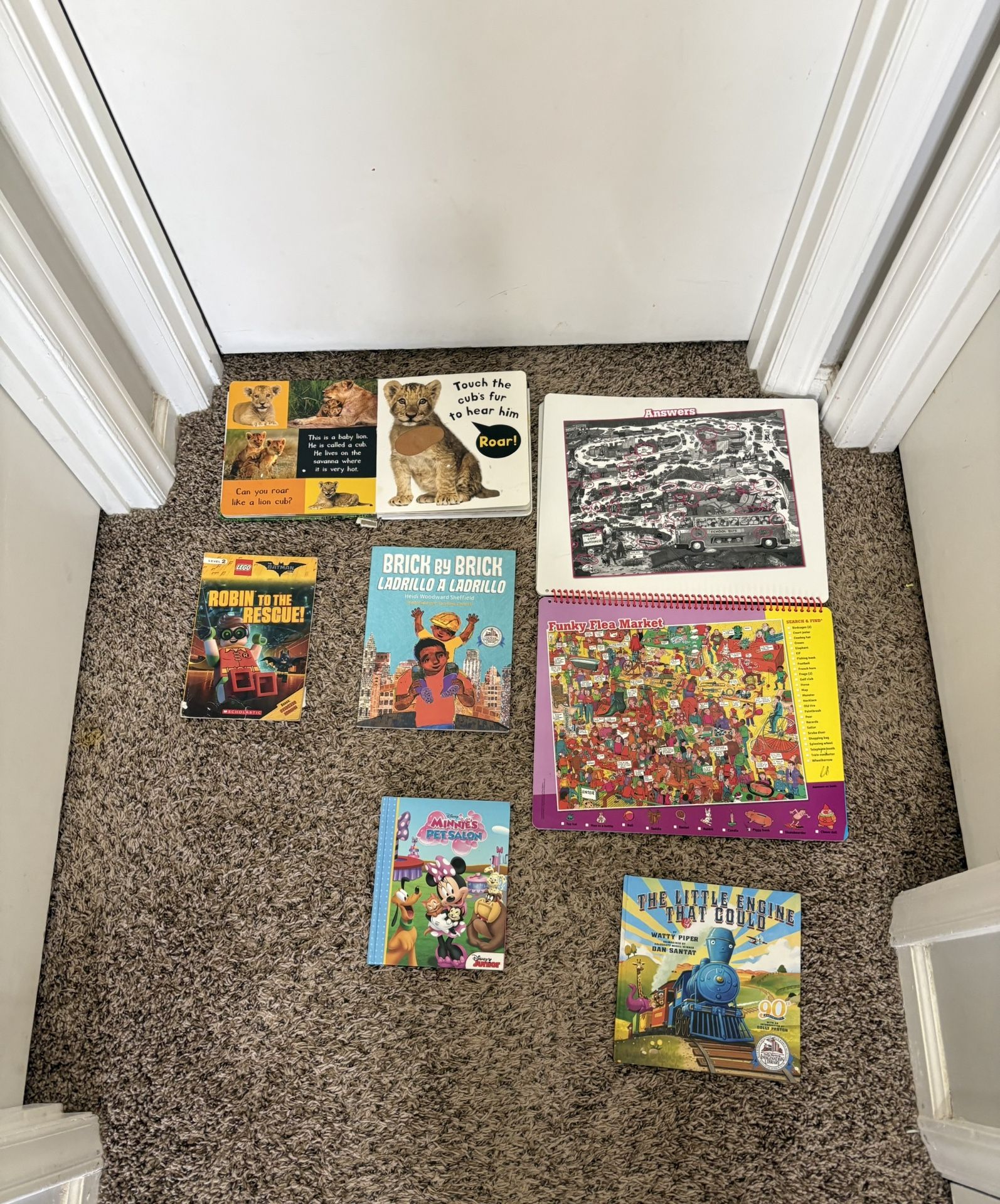 Kids Book Lot