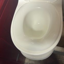 Potty Training Potty