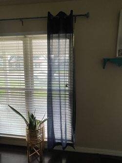 Navy Blue Curtains