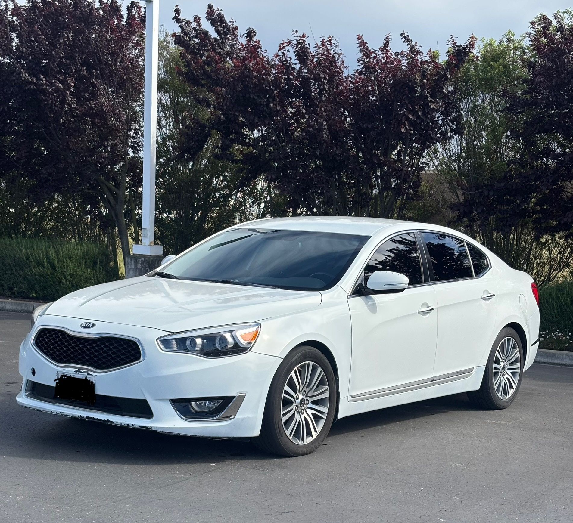 2015 Cadenza