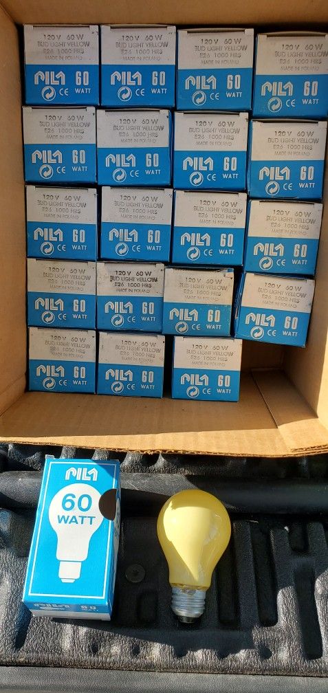 60 Watt Bug Lights 20 Total
