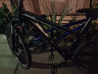 Canadale bike