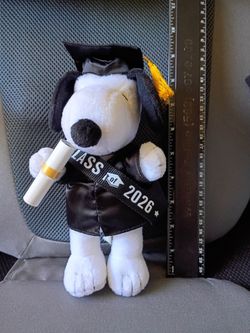 Snoopy plush graduation 🎓