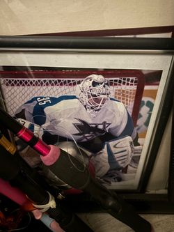 San Jose sharks