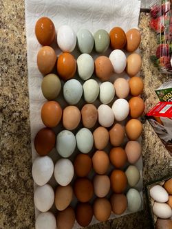 Farm Fresh Eggs
