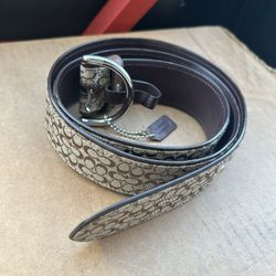 Coach Belt 