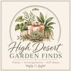 High Desert Garden Finds