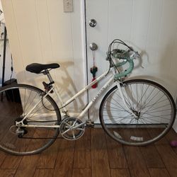 Schwinn Bike