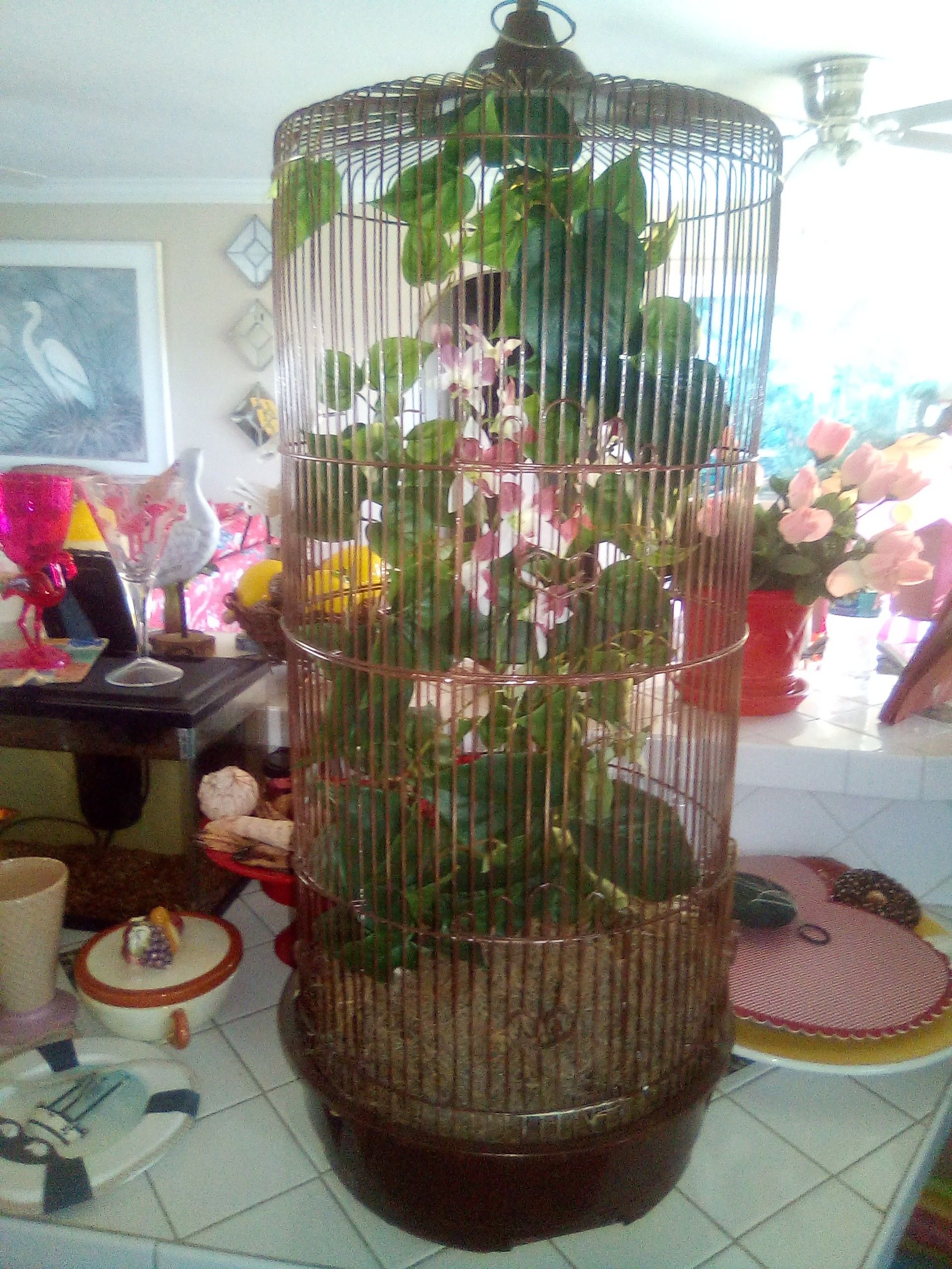 Bird cage
