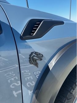 Raptor Emblem/Badge