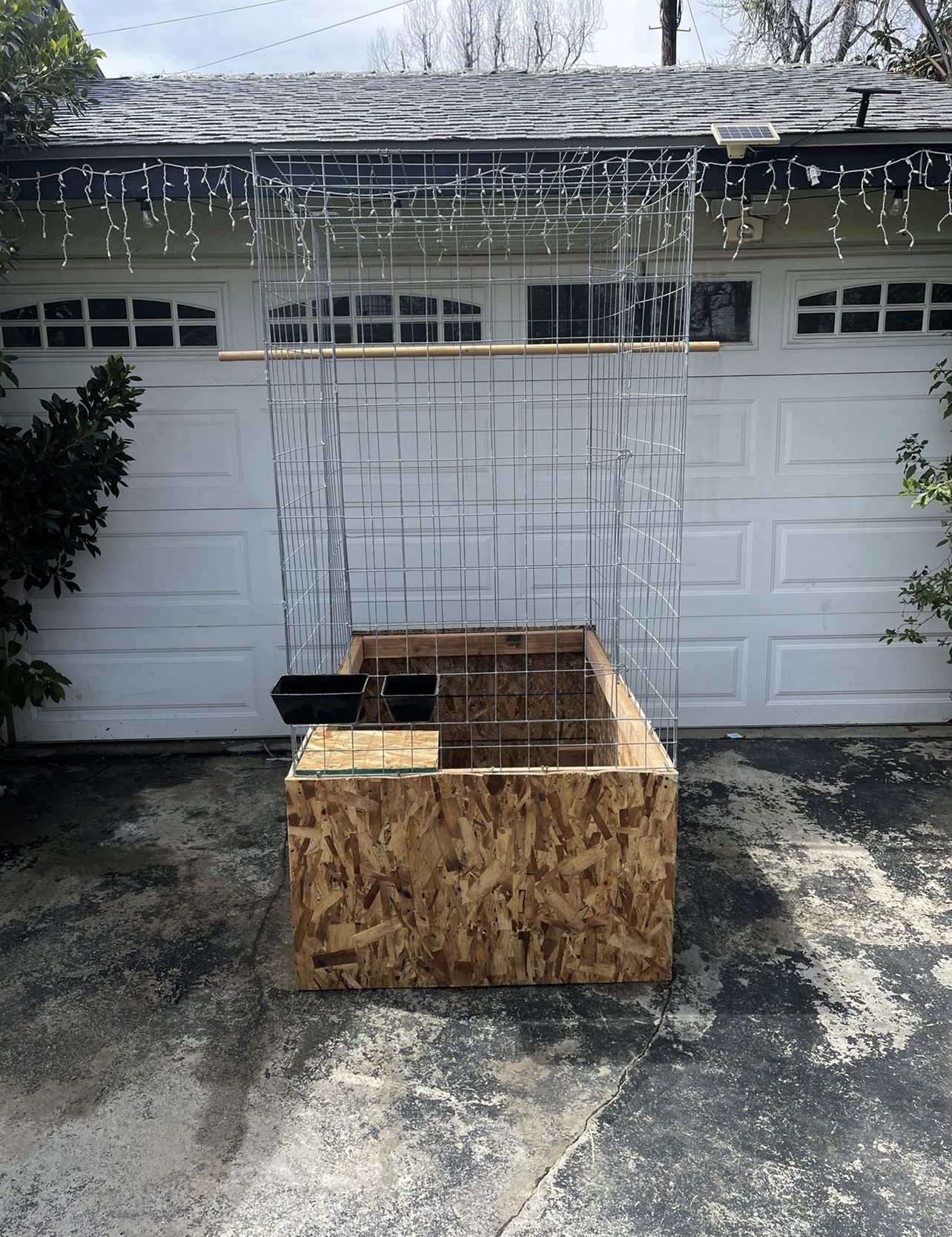 Craigslist Gallos For Sale 20 - h68q269