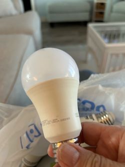 16 light bulbs