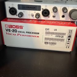 Interface Mandil And Boss Vocal Processor New