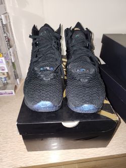 Nike lebron 17 10.5