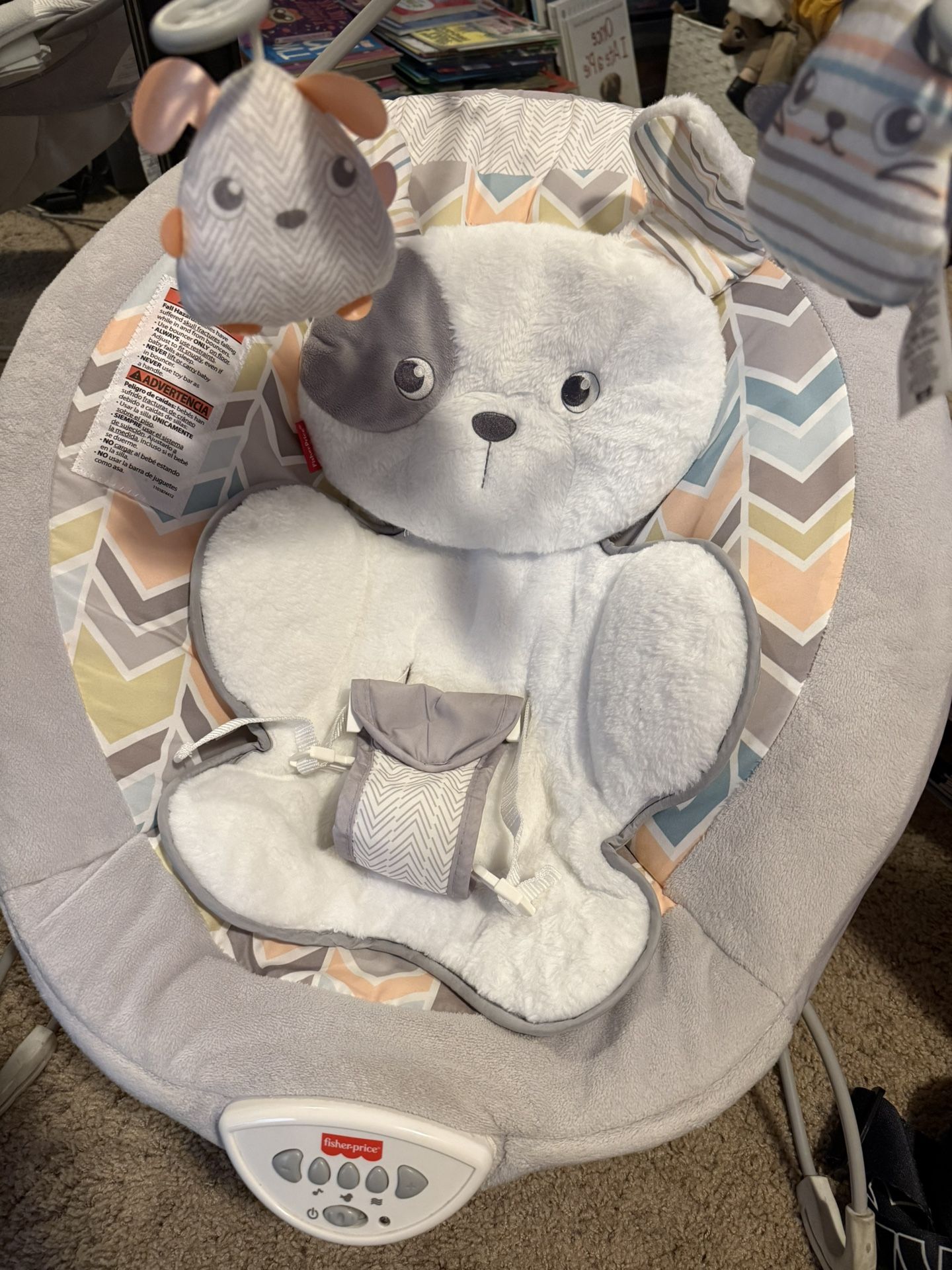 Baby Bouncer