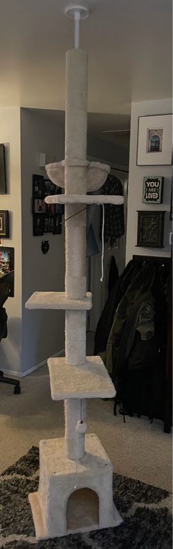 Floor to ceiling cat 🐈‍⬛ 🐈 🐱 tree 🌲