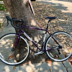 Ladies Bike *Brand new*