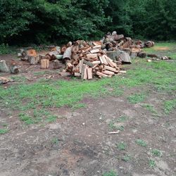Firewood For Sale Summer Special $75 Long Bed Ford Ranger better Hurry Price Is Fixing To Go Up