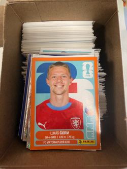 Panini World Cup Stickers