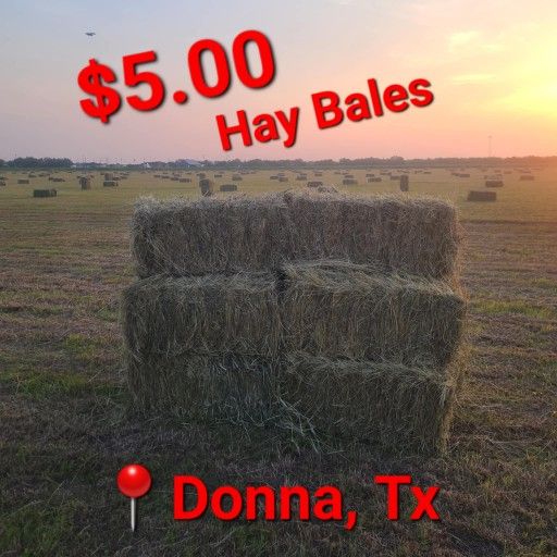 SQUARE HAY BALES