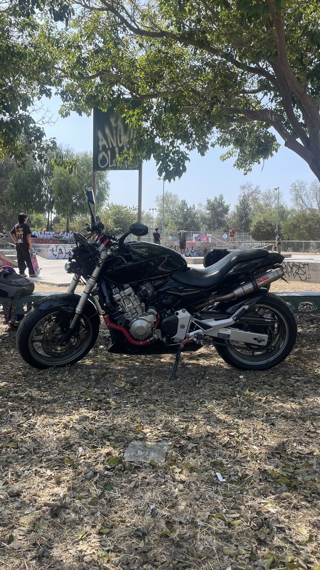 2006 Honda 599 hornet Cb600f