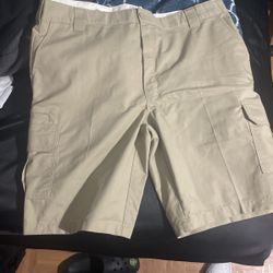 Dickie Shorts Size 42 Regular Fit