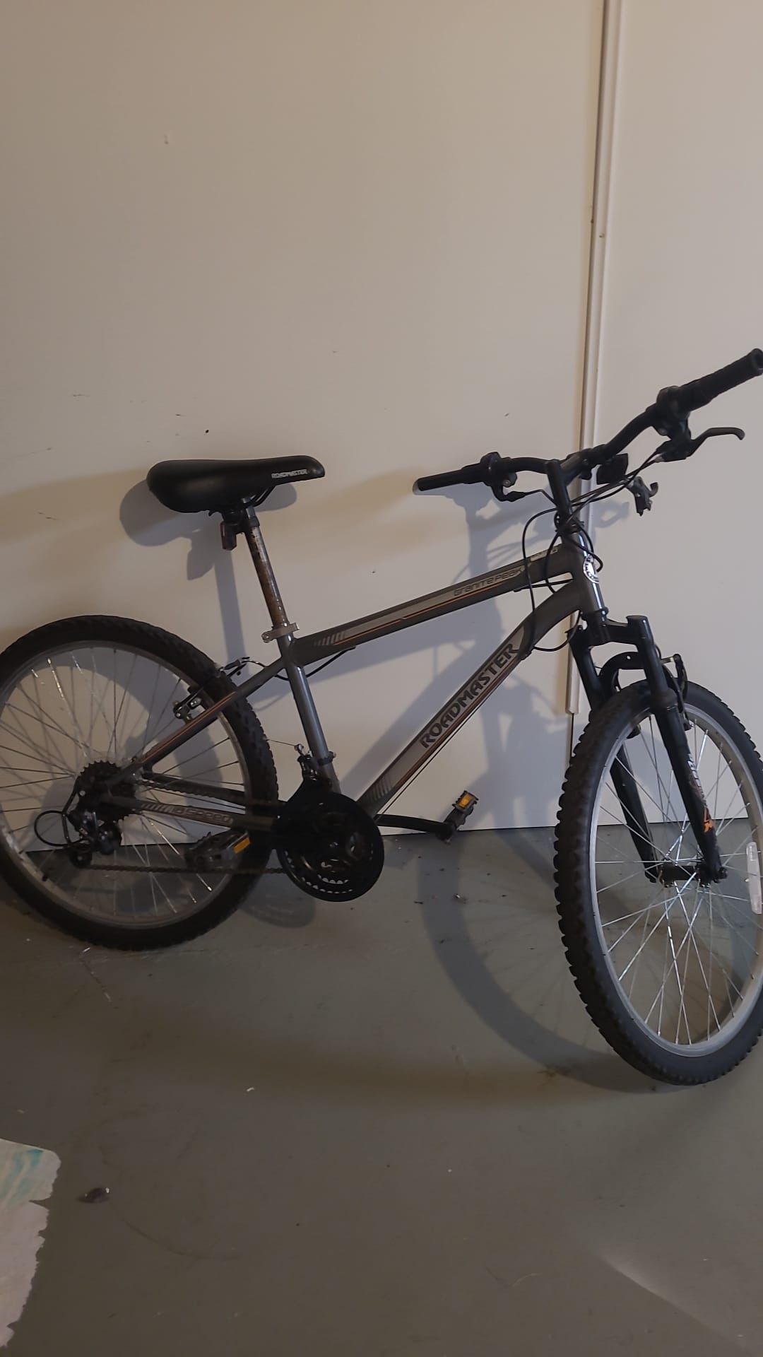 Roadmaster Mountain Bike