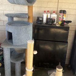 Cat Trees