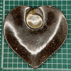 Ammonite Bowl Carved 