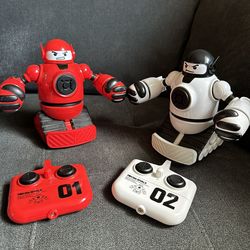 Remote Fighting Robots