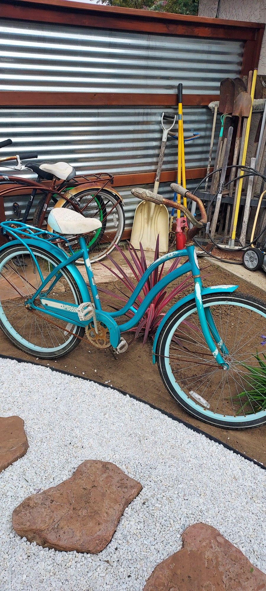 Schwinn Cruiser