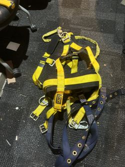 Sala Safety Harness Perfect Condition For 80.00