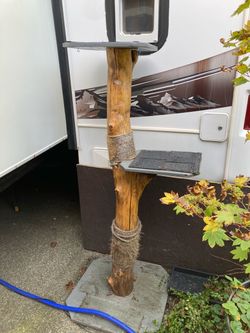 Custom made driftwood cat tree scratching post