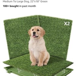 Large Dog Grass trainer Pad  