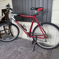 Giant Bicycle 