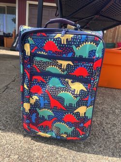Kids Luggage