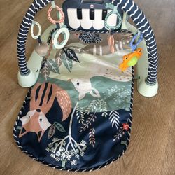 Baby Gym Play Mat 