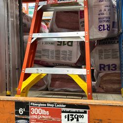 6ft Werner Ladder 300lb