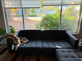 Free Couch