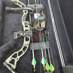 Bow And Case