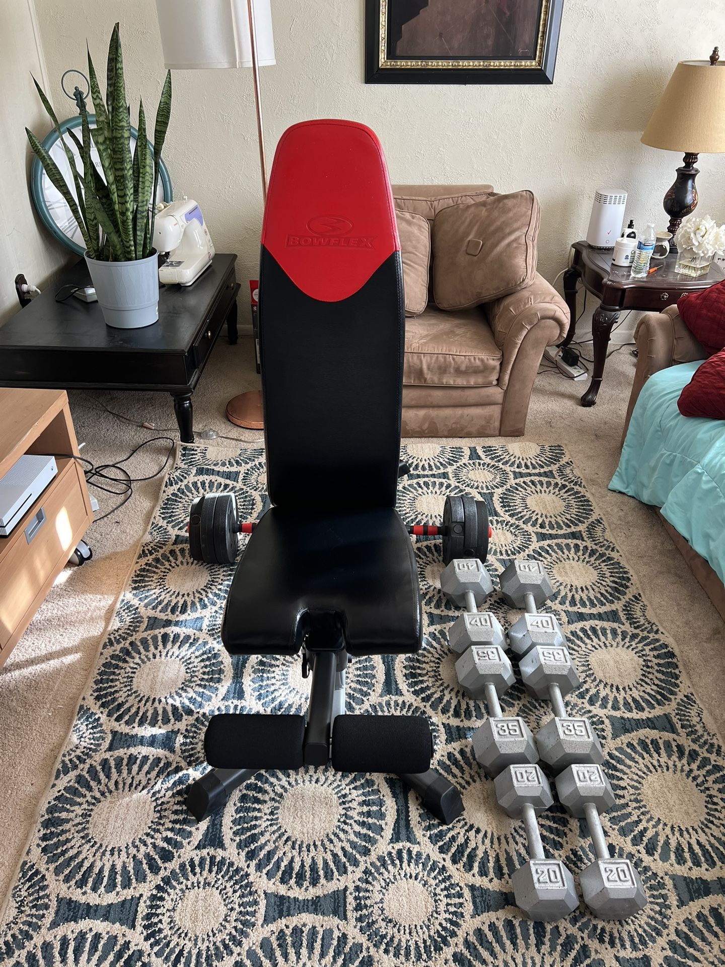Boxflex Bench And Dumbells