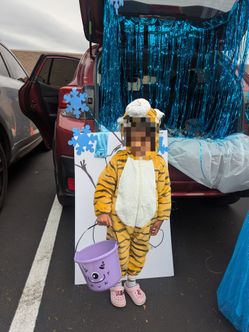 Tiger Halloween Kids Costume 3T
