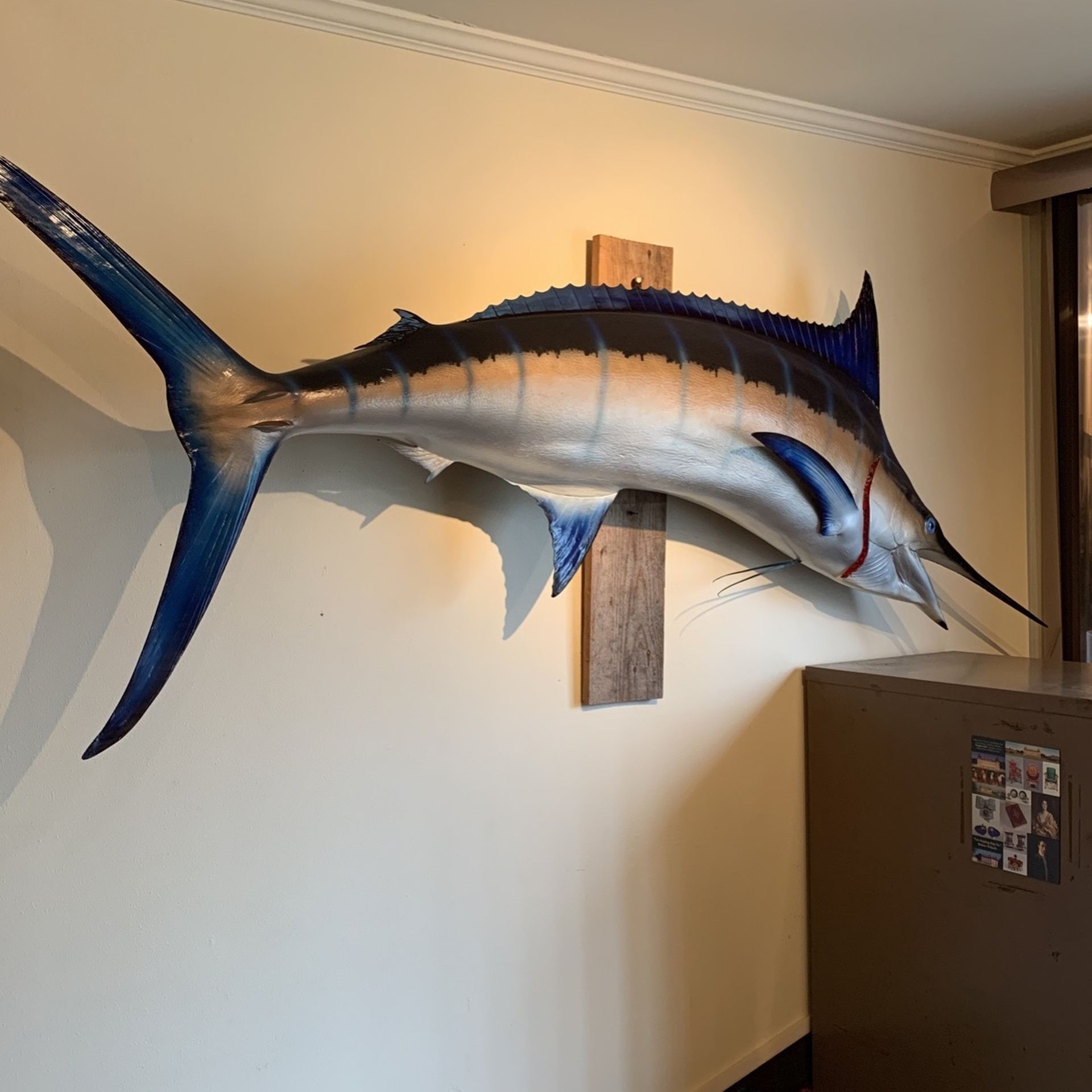 Mounted Marlin